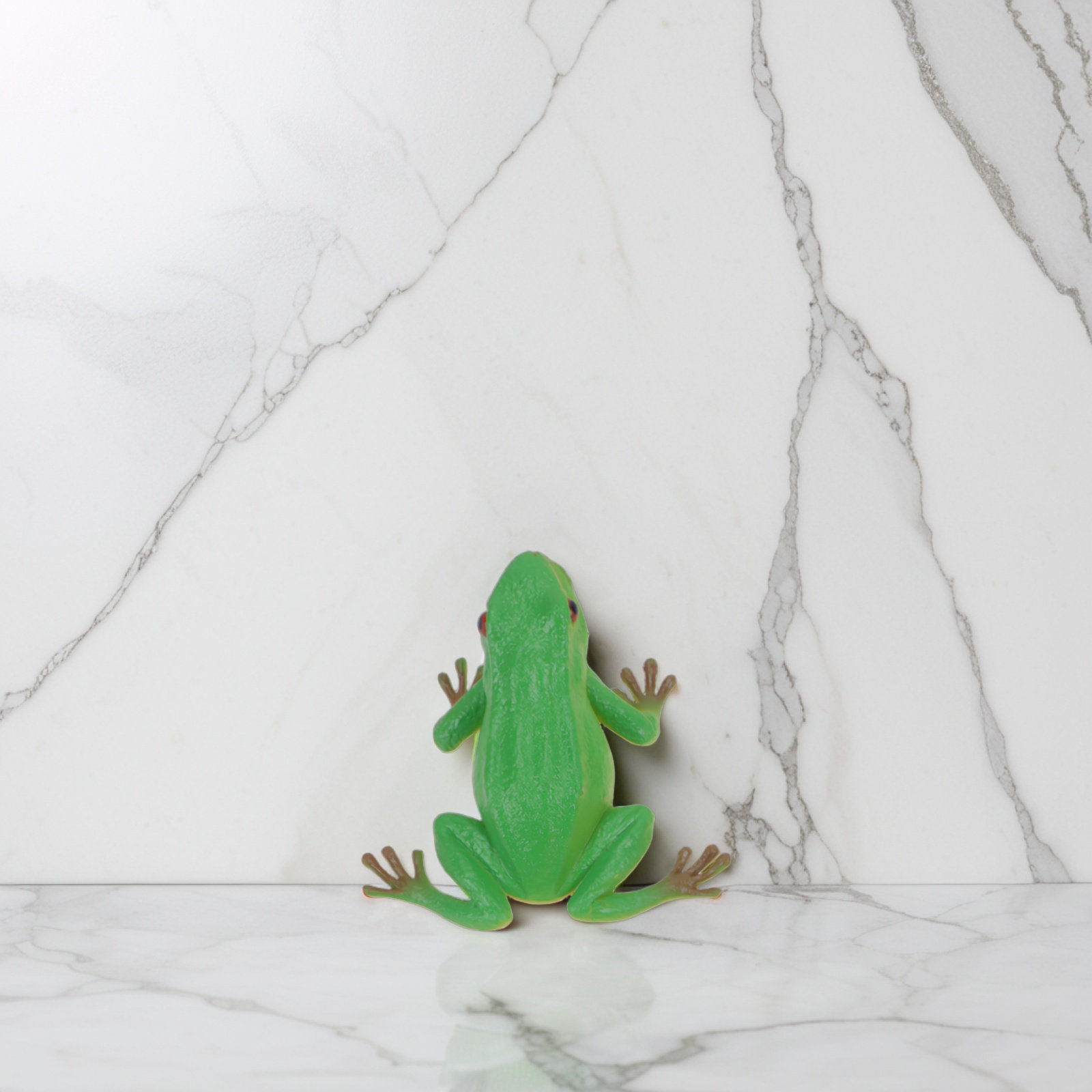 4Pcs Sounding Frog Prank Plast - Kids Toys Vehicle 评论和价格